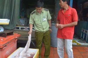 Hàng tạ thịt trăn thối thành khô rắn thơm phức