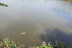 Ninh Bình: Liên tục xảy ra trường hợp đuối nước thương tâm trong ngày hè Ninh Bình: Liên tục xảy ra trường hợp đuối nước thương tâm trong ngày hè