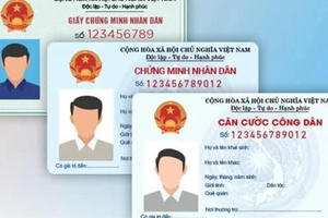 Nhiều chính sách mới có hiệu lực từ tháng 12/2019