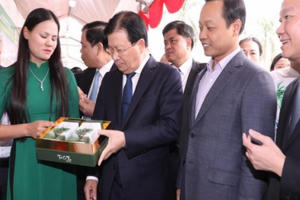 Nghiên cứu lồng ghép vốn ngân sách 3 Chương trình mục tiêu quốc gia