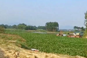 Vĩnh Phúc: “Cát tặc” lộng hành, ngang nhiên lập bến trên sông Tranh