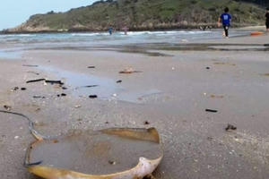 Muộn màng nhận trách nhiệm