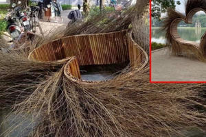 "Trái tim lông" và sức mạnh của dư luận