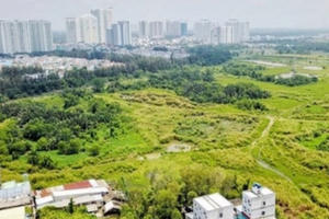 Đặc thù dễ sinh “đặc lợi” Đặc thù dễ sinh “đặc lợi”