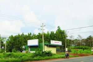 Phanh phui việc biến 'đất công' thành 'đất ông'