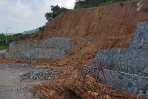 Đà Nẵng phản hồi về thông tin xây dựng trở lại trên bán đảo Sơn Trà