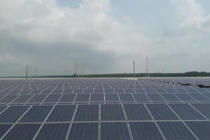 Cả dây doanh nghiệp Trung Quốc "đội lốt" hàng Việt xuất đi Mỹ