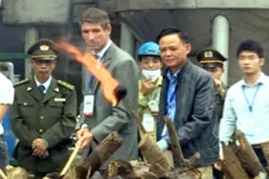 Chính thức tiêu huỷ 2 tấn ngà voi tại Sóc Sơn, Hà Nội Chính thức tiêu huỷ 2 tấn ngà voi tại Sóc Sơn, Hà Nội