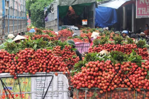 Bắc Giang xuất khẩu vải thiều sang Campuchia