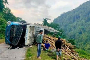 Tin tai nạn giao thông ngày 30/11: Lật xe chở keo, 3 con trâu chết ngay tại chỗ