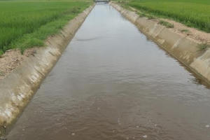 Biến nước thành hàng hóa trong nông nghiệp: Tại sao vẫn chần chừ?