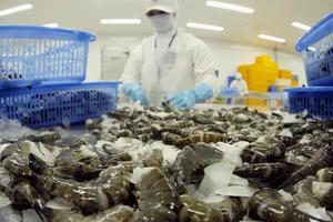 Hàng "bẩn" từ Trung Quốc và bài học đối với hàng Việt xuất ngoại