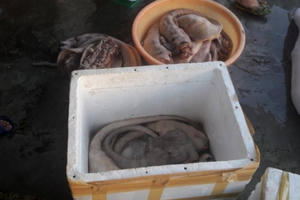 Hà Tĩnh: Phát hiện quán ăn chứa hơn 1 tạ đuôi bò bốc mùi hôi thối