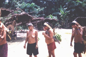 Bộ tộc hoang dã ở Amazon: Ăn tro cốt để tưởng nhớ người đã khuất