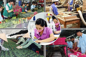 Khu vực tư nhân Việt Nam không lớn như kỳ vọng