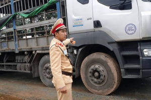 Bắt tài xế nghi gây tai nạn chết người sau 2 tuần truy tìm