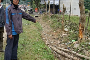 Hà Giang: Một người tử vong khi chở thớt gỗ nghiến, nghi bị rượt đuổi và đánh đập