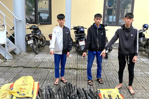 Điều tra, làm rõ vụ trộm cắp cáp điện ngầm tại Quảng Trị