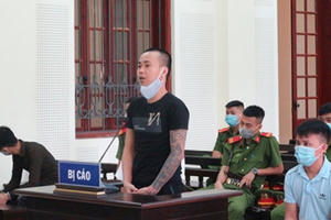 Nghệ An: "Án tử" cho 3 đối tượng mua bán hơn nửa yến “hàng trắng“