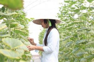 Điểm báo ngày 7/4/2017: Đã có gói 100.000 tỉ đồng với lãi suất cực thấp