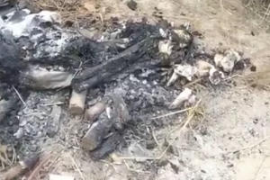 Các bộ phận xương bị đốt cạnh nghĩa trang được xác định là xương người