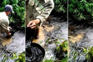 Nước sạch bi nhiễm dầu bẩn: Nên xem xét trách nhiệm hình sự của Công ty Viwasupco