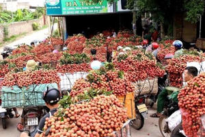 Xuất siêu tăng mạnh: Những điểm nghẽn đã dần được tháo gỡ Xuất siêu tăng mạnh: Những điểm nghẽn đã dần được tháo gỡ