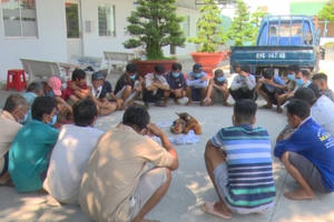 An Giang: Triệt xóa tụ điểm đá gà ăn tiền, bắt giữ 26 đối tượng