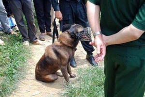 Sơn La: Huy động nhiều chó nghiệp vụ để truy bắt nghi phạm đánh chết hàng xóm