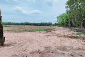 Bình Phước: Nở rộ phân lô bán nền trái phép ở huyện Chơn Thành