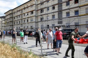 Luật lập pháp, lệ hành pháp