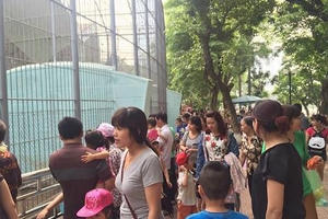 Gần 20 vạn du khách vui chơi, thăm quan vườn thú Thủ Lệ