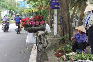Hà Nội: Hoa sen xuống phố, thơm ngát cả vùng trời!