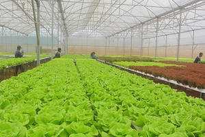 Làng du lịch văn hoá thông minh thay đổi diện mạo nông thôn