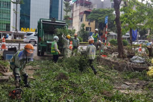 Tiếp tục chặt hạ và đánh chuyển cây, chuẩn bị cho thi công ngầm dưới lòng đất tuyến đường sắt Nhổn - Ga Hà Nội