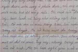 Bài văn tả mẹ thật như đếm khiến dân mạng thích thú