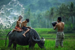 Radio Yêu thương Plus số 43: Sự bình yên…