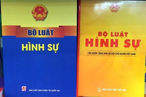 3 lỗi nghiêm trọng của Bộ luật Hình sự 2015