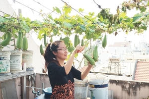 Tự lo thực phẩm sạch