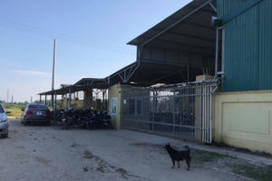 Doanh nghiệp dựng nhà xưởng không phép, ngang nhiên hoạt động trước sự “bất lực” của chính quyền