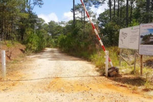 Lộ hàng loạt tỉnh miền Trung xin chuyển đất rừng tự nhiên sang dự án Lộ hàng loạt tỉnh miền Trung xin chuyển đất rừng tự nhiên sang dự án