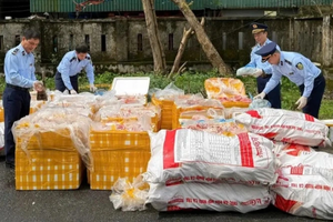 Bắt giữ xe tải chở 2,6 tấn nội tạng, xương động vật không rõ nguồn gốc