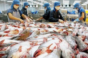 Mỹ bất ngờ đẩy mức thuế bán phá giá cá tra Việt Nam lên cao Mỹ bất ngờ đẩy mức thuế bán phá giá cá tra Việt Nam lên cao