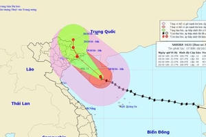 Dự báo thời tiết ngày 19/10: Bão số 7 áp sát Quảng Ninh - Hải Phòng