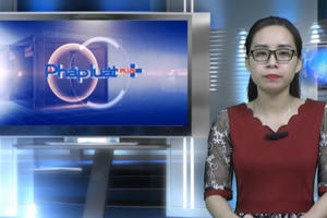 Bản tin pháp luật: Hót girl Trâm Anh lộ clip nhạy cảm, có thể khởi tố vụ án hình sự?