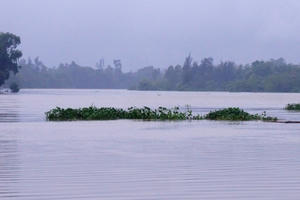 Quảng Nam: Đi đánh cá trong lũ, hai học sinh mất tích Quảng Nam: Đi đánh cá trong lũ, hai học sinh mất tích