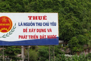 Các đơn vị nợ thuế liệu có quên mất quyền và nghĩa vụ của mình?