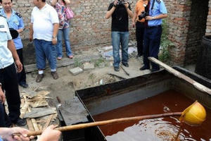 Sữa bột “chết người”, thịt lợn phát sáng... liên tiếp gây chấn động