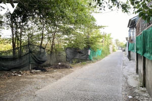 Loạn phân lô, bán nền trên giấy ở Vũng Tàu