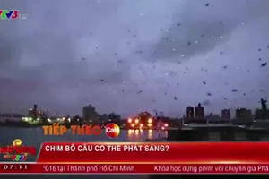 Cà phê sáng ngày 10/5/2016